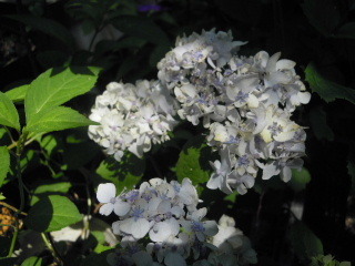 12012_0528_110807AA.JPG