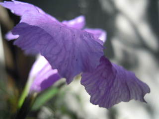 2010_0914AA.JPG