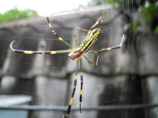 2010_0916AA.JPG