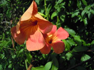 2010_0919AD.JPG
