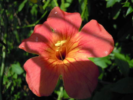 2010_0919AF.JPG