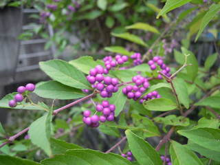 2010_0926AB.JPG