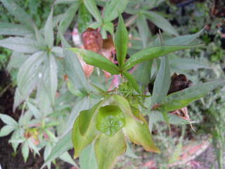 2010_0928AR.JPG