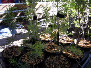 DSCN0046.JPG