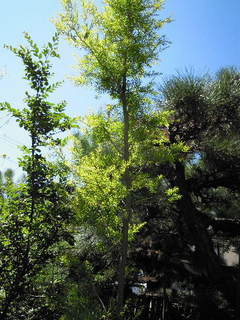 DSCN0062.JPG