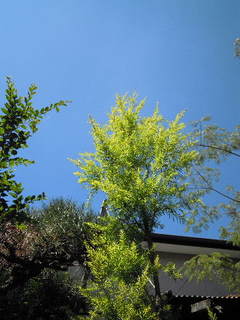 DSCN0063.JPG