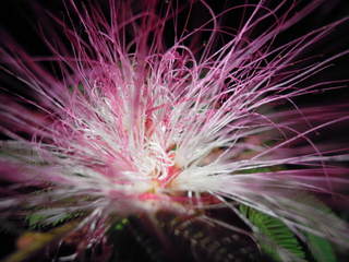 DSCN0064.JPG