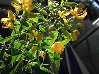 DSCN0101.JPG
