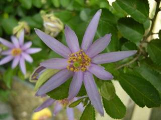 DSCN0153-1.JPG