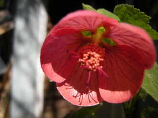 DSCN0165.JPG