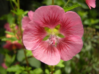 DSCN0317.JPG