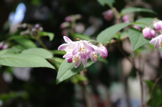 IMGP0899.JPG