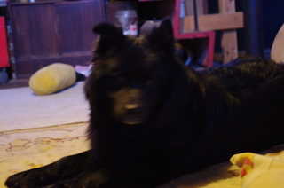 IMGP0920.JPG