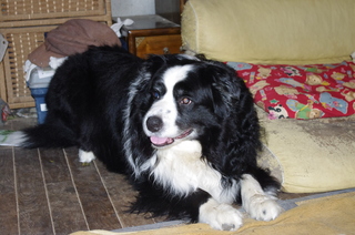 IMGP1054.JPG
