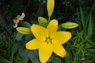 IMGP1089.JPG