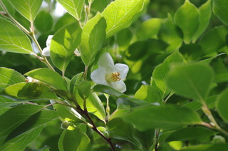 IMGP1187.JPG