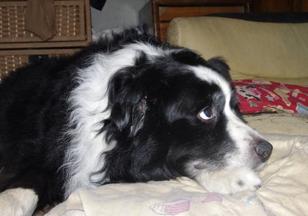 IMGP1264-2.JPG