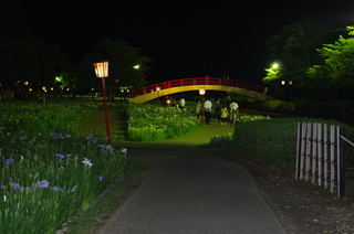 IMGP1325.JPG