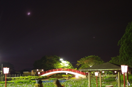 IMGP1369.JPG