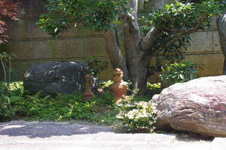 IMGP1536.JPG
