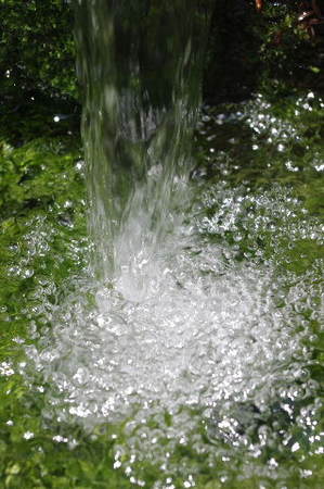 IMGP1775.JPG