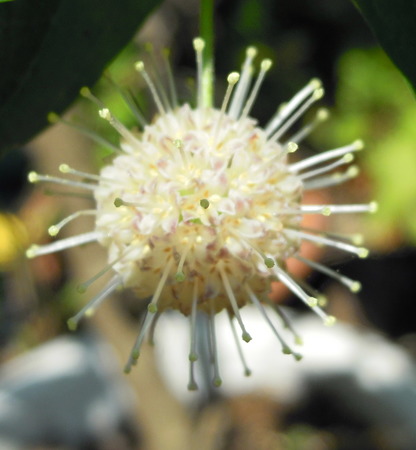 DSCN0009-2.JPG